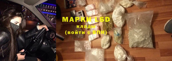 спиды Горняк