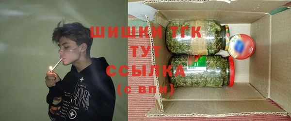 спиды Горняк
