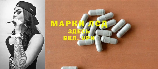 спиды Горняк