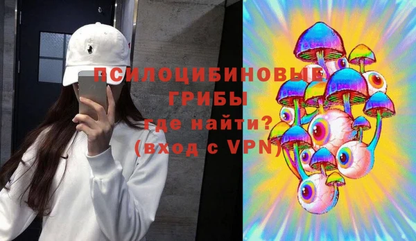сатива Гусиноозёрск