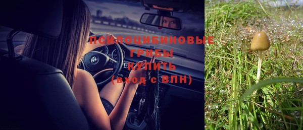 круглые Горно-Алтайск