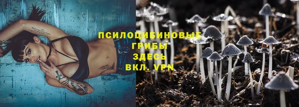 спайс Гусь-Хрустальный
