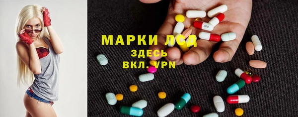 спиды Горняк