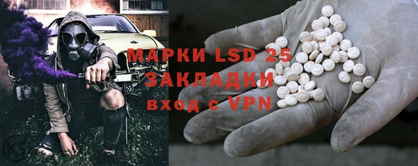 спиды Горняк