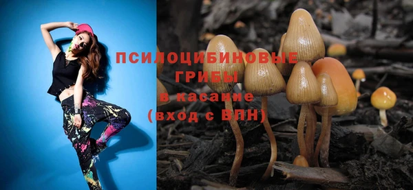 круглые Горно-Алтайск