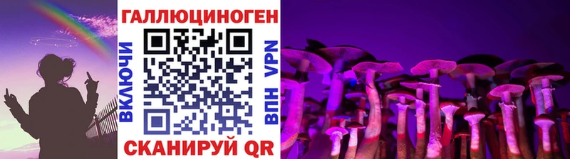 omg ONION  Москва  Псилоцибиновые грибы прущие грибы 
