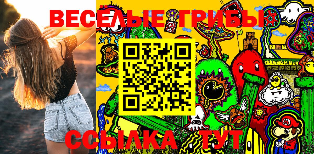 Москва  Псилоцибиновые грибы GOLDEN TEACHER  Вход с VPN  купить   Псилоцибиновые грибы Magic Shrooms 