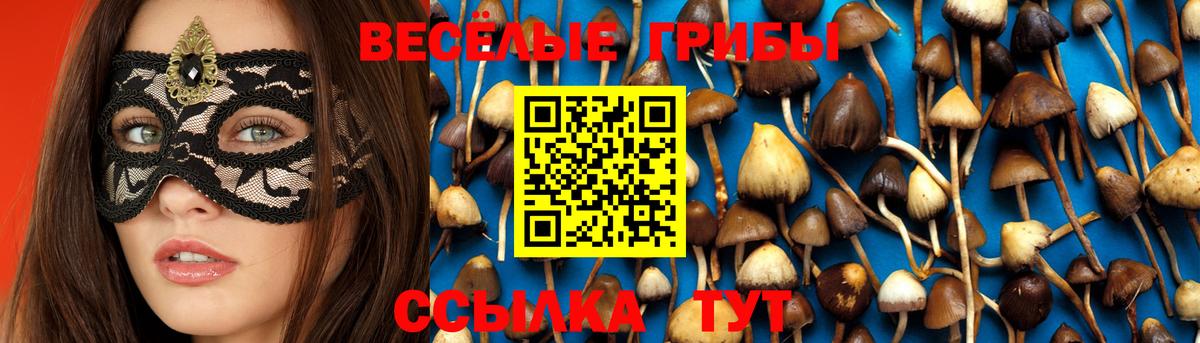 Псилоцибиновые грибы MAGIC MUSHROOMS Москва